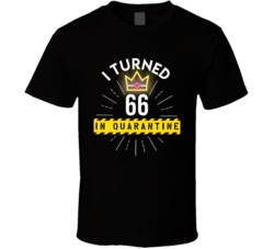 I Turned 66 In Quarantine 2020 Birthday Gift T Shirt