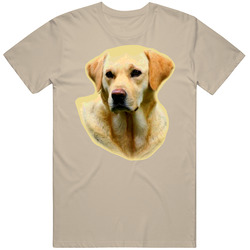Hangover Alan Allen Golden Retriever Allan T Shirt