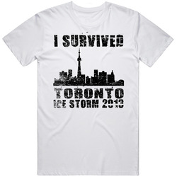 I Survived The Toronto Ice Storm 2013 Yyz T Dot Funny T Shirt