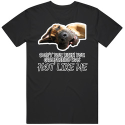 Don't You Wish Your Girlfriend Was Hot Like Me Movie T Shirt