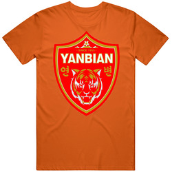 Yanbian Funde Fc Chinese Super League Csl Soccer Team Football Club T 