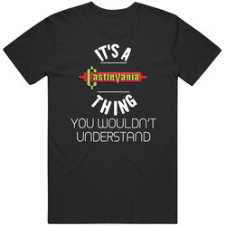 It's A Castlevania Thing You Wouldn't Understand Nes Video G