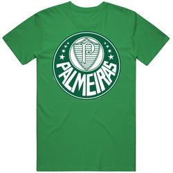 Sociedade Esportiva Palmeiras Campeonato Brasileiro Soccer Team Footba