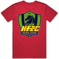 Guizhou Hengfeng Zhicheng Fc Football Club Chinese Super League Soccer