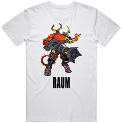 Raum Paladins Video Game Character T Shirt