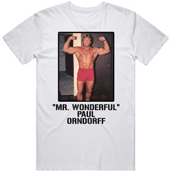 Mr Wonderful Paul Orndorff Legend Wrestling Fan T Shirt