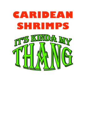 https://s3.us-west-1.wasabisys.com/ecart-content/jokershirts.com/overlays/261/944/26194449.png img