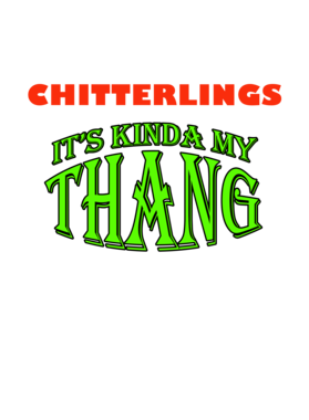 https://s3.us-west-1.wasabisys.com/ecart-content/jokershirts.com/overlays/261/948/26194872.png img