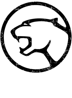 https://s3.us-west-1.wasabisys.com/ecart-content/jokershirts.com/overlays/274/570/27457012.png img