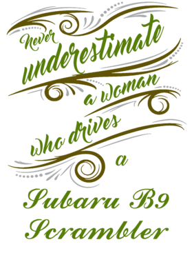https://s3.us-west-1.wasabisys.com/ecart-content/jokershirts.com/overlays/291/733/29173324.png img