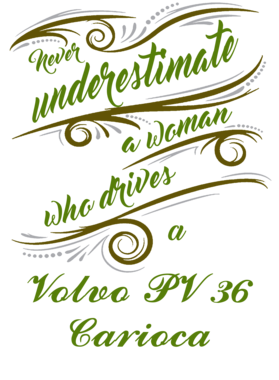 https://s3.us-west-1.wasabisys.com/ecart-content/jokershirts.com/overlays/291/733/29173366.png img