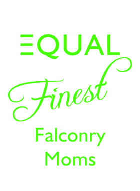 https://s3.us-west-1.wasabisys.com/ecart-content/jokershirts.com/overlays/292/894/29289407.png img