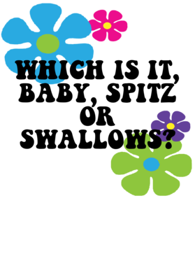 https://s3.us-west-1.wasabisys.com/ecart-content/jokershirts.com/overlays/351/918/35191844.png img