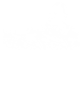 https://s3.us-west-1.wasabisys.com/ecart-content/jokershirts.com/overlays/351/992/35199244.png img