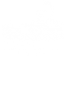 https://s3.us-west-1.wasabisys.com/ecart-content/jokershirts.com/overlays/351/992/35199247.png img
