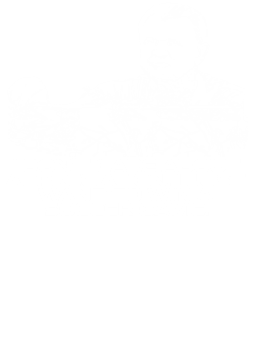 https://s3.us-west-1.wasabisys.com/ecart-content/jokershirts.com/overlays/351/992/35199261.png img