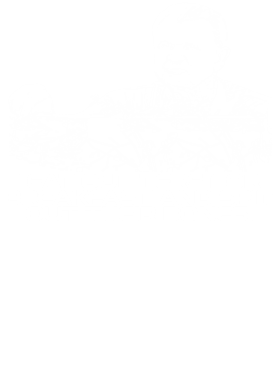 https://s3.us-west-1.wasabisys.com/ecart-content/jokershirts.com/overlays/351/993/35199300.png img