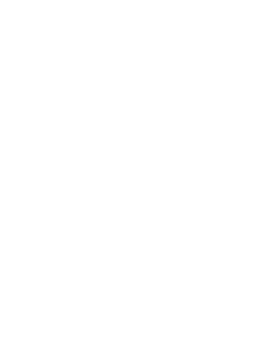 https://s3.us-west-1.wasabisys.com/ecart-content/jokershirts.com/overlays/351/993/35199305.png img