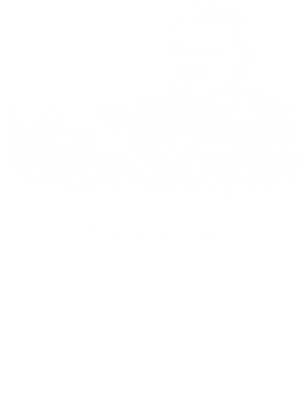 https://s3.us-west-1.wasabisys.com/ecart-content/jokershirts.com/overlays/351/993/35199307.png img