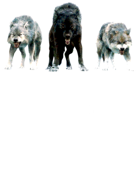 https://s3.us-west-1.wasabisys.com/ecart-content/jokershirts.com/overlays/352/891/35289133.png img