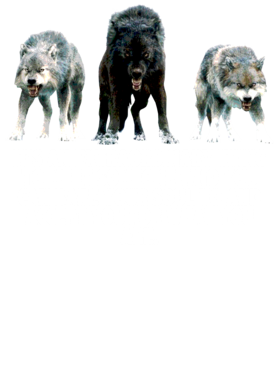 https://s3.us-west-1.wasabisys.com/ecart-content/jokershirts.com/overlays/352/891/35289135.png img