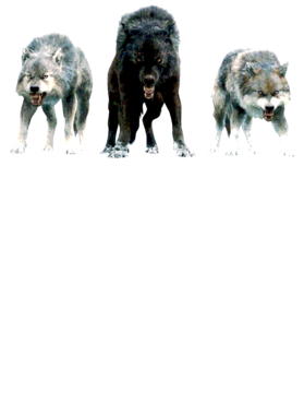 https://s3.us-west-1.wasabisys.com/ecart-content/jokershirts.com/overlays/352/891/35289137.png img