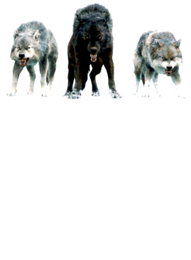 https://s3.us-west-1.wasabisys.com/ecart-content/jokershirts.com/overlays/352/891/35289139.png img