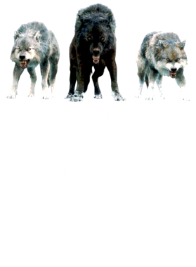 https://s3.us-west-1.wasabisys.com/ecart-content/jokershirts.com/overlays/352/891/35289141.png img