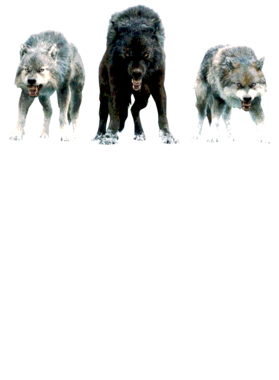 https://s3.us-west-1.wasabisys.com/ecart-content/jokershirts.com/overlays/352/891/35289143.png img