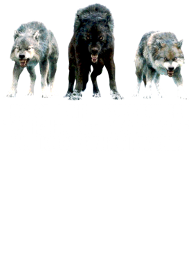 https://s3.us-west-1.wasabisys.com/ecart-content/jokershirts.com/overlays/352/891/35289145.png img