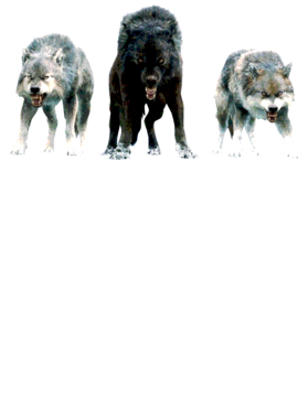 https://s3.us-west-1.wasabisys.com/ecart-content/jokershirts.com/overlays/352/891/35289147.png img
