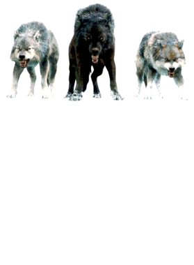 https://s3.us-west-1.wasabisys.com/ecart-content/jokershirts.com/overlays/352/891/35289149.png img