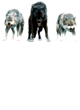 https://s3.us-west-1.wasabisys.com/ecart-content/jokershirts.com/overlays/352/891/35289151.png img