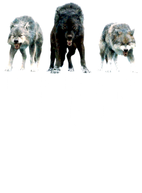 https://s3.us-west-1.wasabisys.com/ecart-content/jokershirts.com/overlays/352/891/35289153.png img