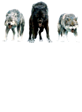 https://s3.us-west-1.wasabisys.com/ecart-content/jokershirts.com/overlays/352/891/35289155.png img