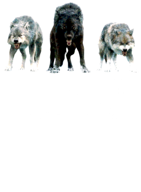https://s3.us-west-1.wasabisys.com/ecart-content/jokershirts.com/overlays/352/891/35289156.png img