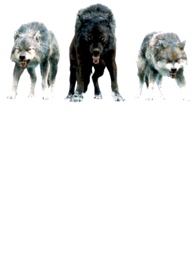 https://s3.us-west-1.wasabisys.com/ecart-content/jokershirts.com/overlays/352/891/35289158.png img