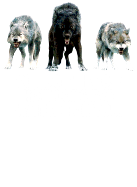 https://s3.us-west-1.wasabisys.com/ecart-content/jokershirts.com/overlays/352/891/35289160.png img