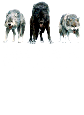 https://s3.us-west-1.wasabisys.com/ecart-content/jokershirts.com/overlays/352/891/35289162.png img