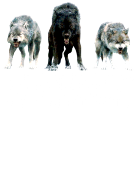 https://s3.us-west-1.wasabisys.com/ecart-content/jokershirts.com/overlays/352/891/35289164.png img