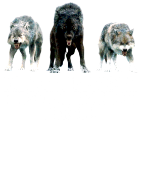 https://s3.us-west-1.wasabisys.com/ecart-content/jokershirts.com/overlays/352/891/35289166.png img