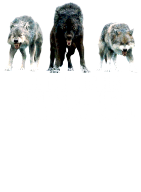 https://s3.us-west-1.wasabisys.com/ecart-content/jokershirts.com/overlays/352/891/35289169.png img