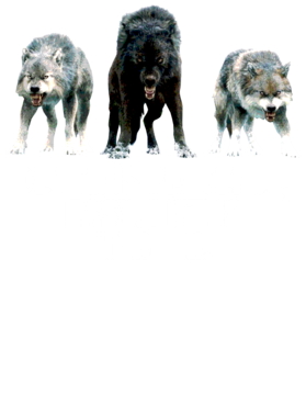https://s3.us-west-1.wasabisys.com/ecart-content/jokershirts.com/overlays/352/891/35289170.png img