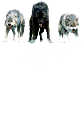 https://s3.us-west-1.wasabisys.com/ecart-content/jokershirts.com/overlays/352/891/35289171.png img