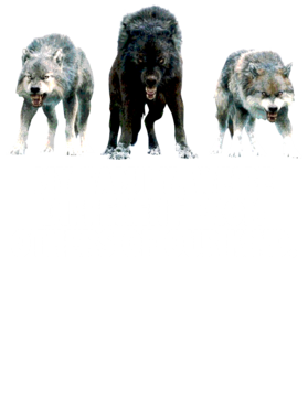 https://s3.us-west-1.wasabisys.com/ecart-content/jokershirts.com/overlays/352/891/35289172.png img