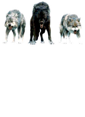 https://s3.us-west-1.wasabisys.com/ecart-content/jokershirts.com/overlays/352/891/35289173.png img