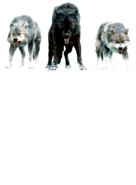https://s3.us-west-1.wasabisys.com/ecart-content/jokershirts.com/overlays/352/891/35289174.png img