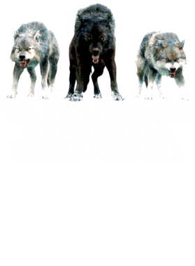 https://s3.us-west-1.wasabisys.com/ecart-content/jokershirts.com/overlays/352/891/35289175.png img