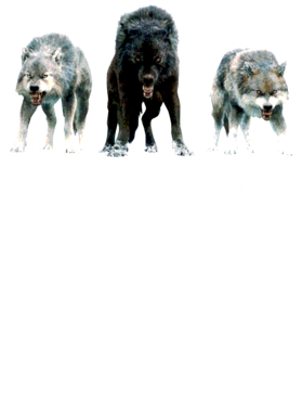 https://s3.us-west-1.wasabisys.com/ecart-content/jokershirts.com/overlays/352/891/35289177.png img