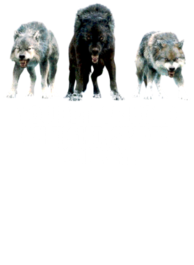 https://s3.us-west-1.wasabisys.com/ecart-content/jokershirts.com/overlays/352/891/35289178.png img